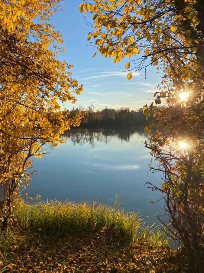 Holiday Home Punta D'Oro With Garden, Parking Place And Lake Access At 300 M Исео Экстерьер фото